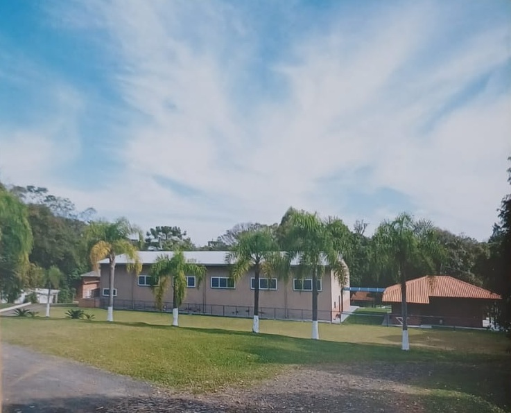 Colmeia Real — Produção de mel em Prudentópolis, PR